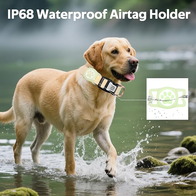 Dog Collar with Waterproof AirTag Holder & Anti-Lost QR Code, Cute Bling Warpping Adjustable Width for Small Medium Large Pet (Yellow, M)