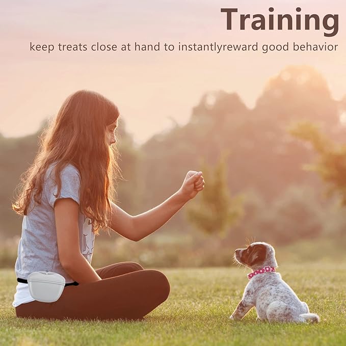 Dog Treat Pouch 2 Pack, Dog Treat Training Pouch, Silicone Pet Treat Bag BPA Free/Clip/Magnetic Dog Walk (Grey & Black)