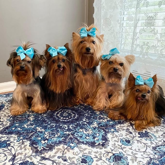 Washable Pee Pads for Dogs - Super Absorbent Reusable Puppy Training Pads - 100% Waterproof, Leak-Proof & Non-Slip Whelping Pads for Pet Housebreaking