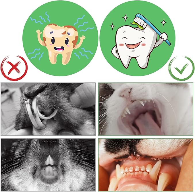 1000g/2.2lb Bamboo Chews for Rabbits, Rabbit Sticks Rabbit Chew Toys Bunny Chew Toys, Molar Treats for Small Animals, Hamsters, Chinchillas, Guinea Pigs, Natural Teeth Grinding Toys