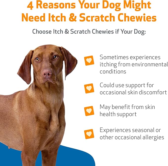 Pet Wellbeing Itch & Scratch Chewies for Dogs - Supports Healthy Itch Response to Occasional Skin Allergies, Skin Health, Chinese Pearl Barley, Phellodendron - Veterinarian-Formulated 90 Soft Chews