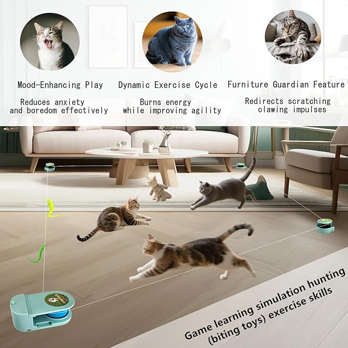 Wireless Remote Control Interactive Cat Toy for Indoor Cats, Self-Moving Worm Plush Mouse Chase Toy, Automatic Prey Simulation with Adjustable Speed, Durable & Rechargeable Kitten Exercise Toy