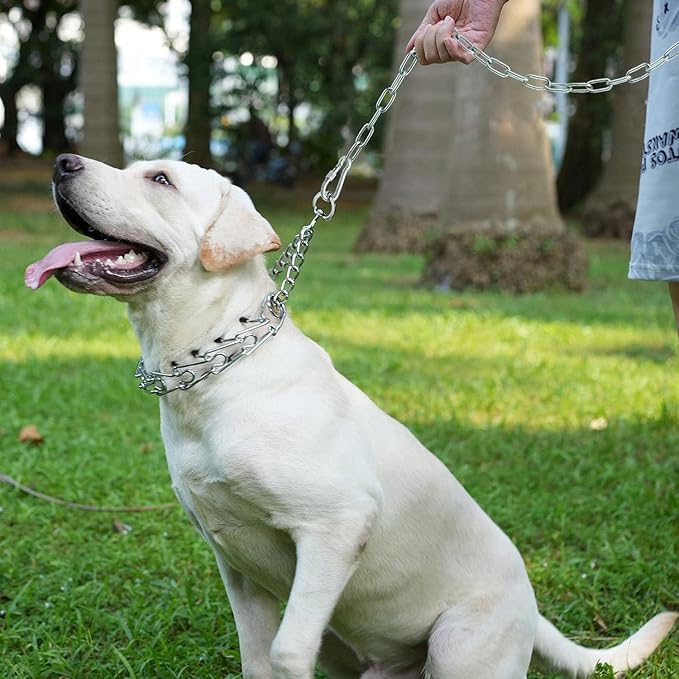 15 ft Dog Chains for Outside - Heavy Duty Tie Out Chain Leash Great for Small to Large Dogs Up to 200Lbs - Chew Proof Long Chain for Yard Camping or Travel (15ft Without Spring)