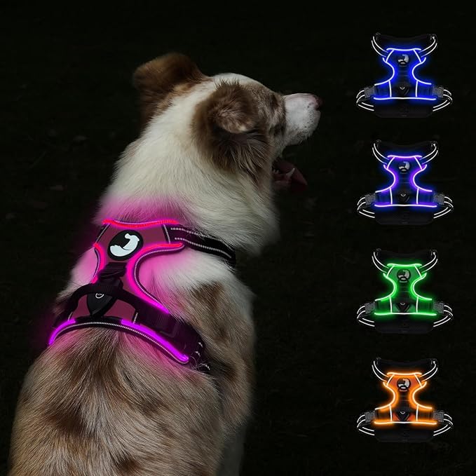 Taglory Light Up Dog Harness, Rechargeable No Pull Dog Vest with 3 Lightning Modes, Reflective Dog Harness with 2 Leash Clips & 4 Adjustable Slide Strips for Large Dogs, Hotpink-Hotpink, L