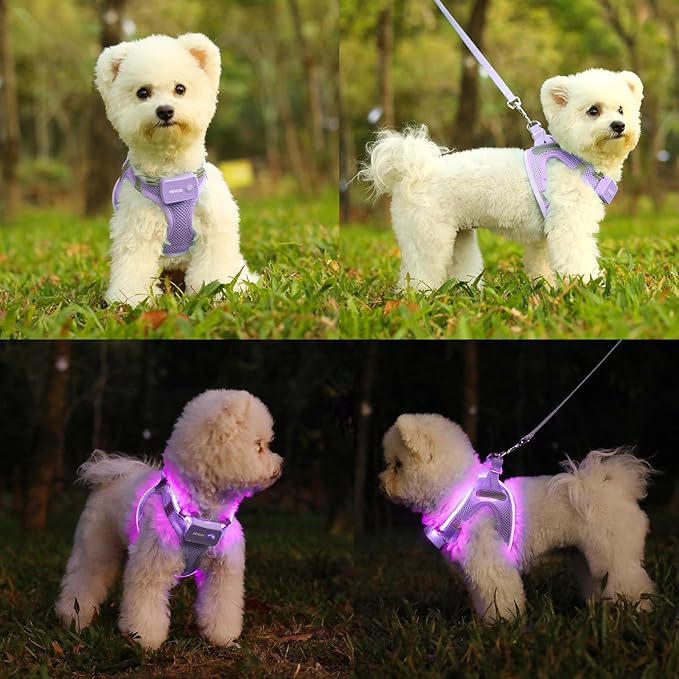 Light Up Dog Harness,Rechargeable LED Dog Harness for Small Medium Large Dogs,Reflective Lighted Safety Vest for Night Walking & Camping,Lightweight & Adjustable,Lavender Purple,S