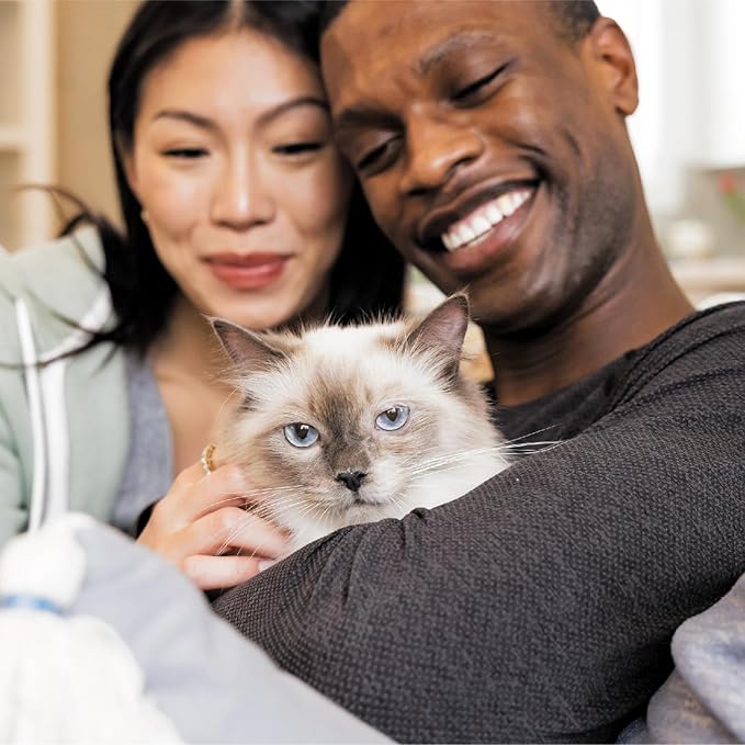 IAMS Proactive Health Adult Healthy Dry Cat Food with Real Salmon, 3.5 lb. Bag