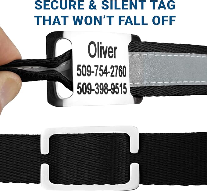 GoTags Reflective Personalized Dog Collar with Nameplate, Adjustable Dog Collar with Custom Engraved Steel Slide On Pet ID Tag, Silent, No Noise Dog Tag for Large Medium or Small (Black, Small)