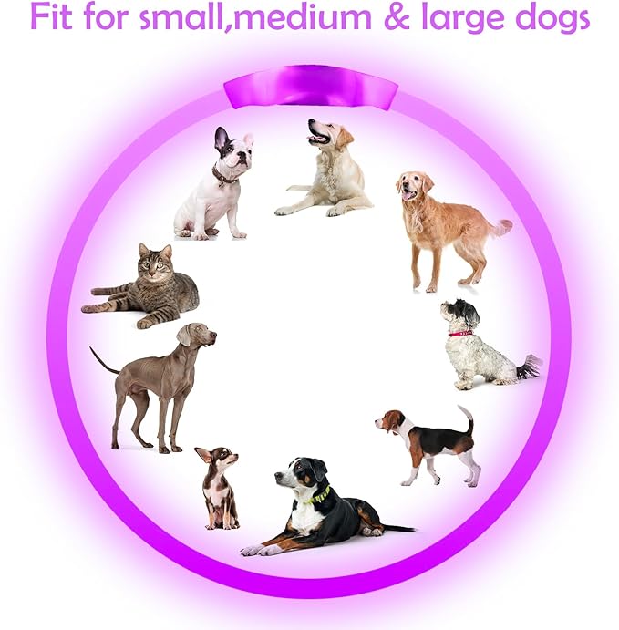 Light up Dog Collar, BSEEN USB Rechargeable Flash Dog Necklace Light, Pet Safety Collar Makes Your Beloved Dogs Be Seen at Night for Small Medium Large Dogs(Purple)