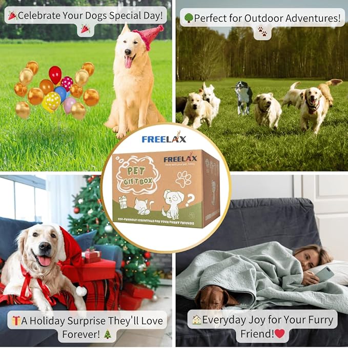 Durable Dog Chew Toys Gift Box – Eco-Friendly Teething Toys for Aggressive Chewers, Plush & Squeaky Toys, Toothbrush, Ideal Gift Basket for Medium & Large Dogs