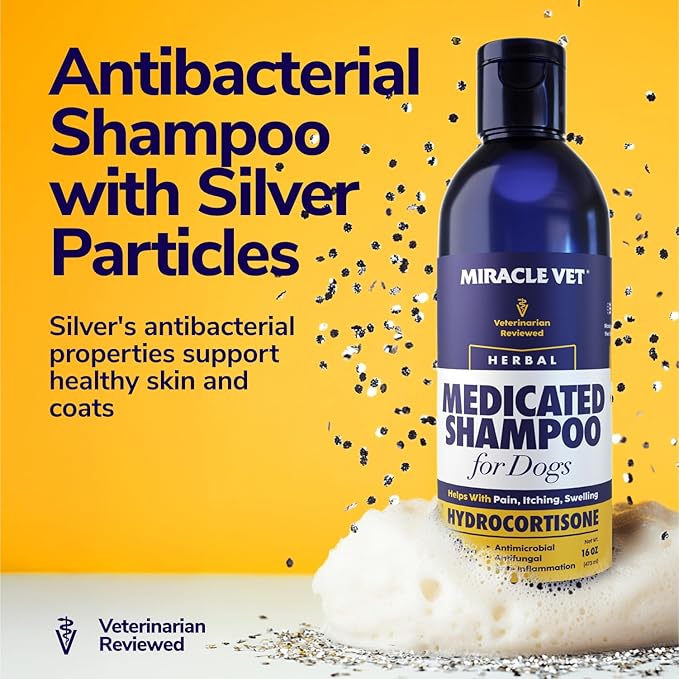 Medicated Dog Shampoo for Itchy Skin Relief - Yeast Infection Treatment for Dogs & Dog Allergy Relief Hot Spot Treatment - Hydrocortisone Antifungal Shampoo (16 oz)
