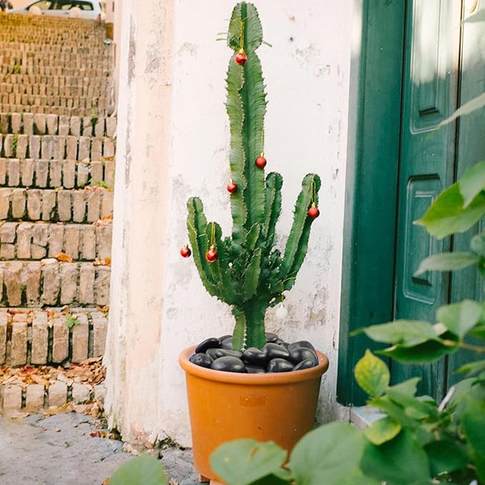 20lb Black River Rocks - 2-3 inch Polished Pebbles for Plants, Decorative Stones for Large Planters, Landscaping, Vases, Aquariums & Fish Tanks