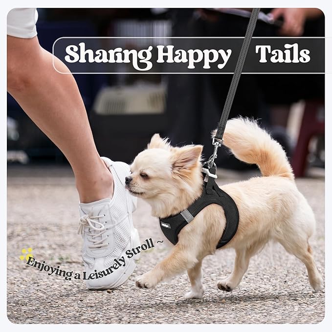 rabbitgoo Dog Harness Small Sized and Leash Set, Step in Soft Light Puppy Vest, Breathable Mesh Pet Harness, Reflective for Safe Easy Walking, Black M