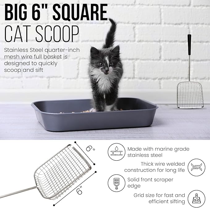 Sand Dipper Cat Poop Scooper & Chicken Poop Scooper - Rugged Big 6" Square Stainless Steel Long Handle for Home Kitty Litter Scoop & Farm Chicken Coop Scooper (Junior)