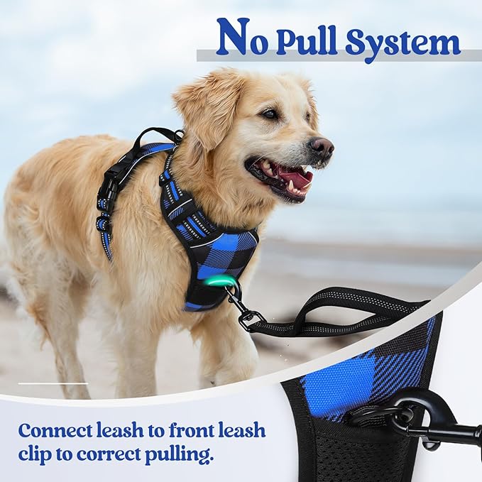 rabbitgoo Dog Harness No Pull with 2 Leash Clips, Adjustable Soft Padded, Reflective Oxford No Choke Pet Vest with Easy Control Handle for Large Dogs, Blue Plaid, XL