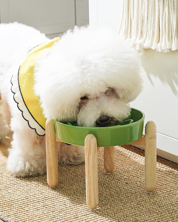 LE TAUCI Ceramic Slow Feeder Dog Bowls Elevated for Small and Medium Breed, Dog Bowls with Wooden Stand, 1.5 Cups Pet Dishes to Slow Down Eating, Anti-Gulping Pet Feeding Dishes, Clover Green