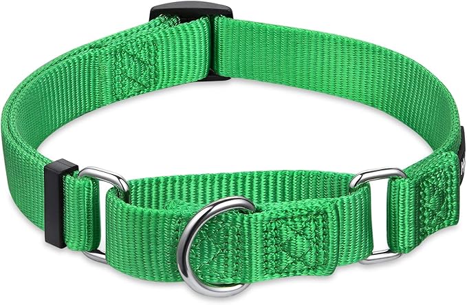 Hyhug Solid Color Nylon Martingale Collar, Heavy Duty Escape-Proof Pup Dog Collar. (Small, Lime Green)