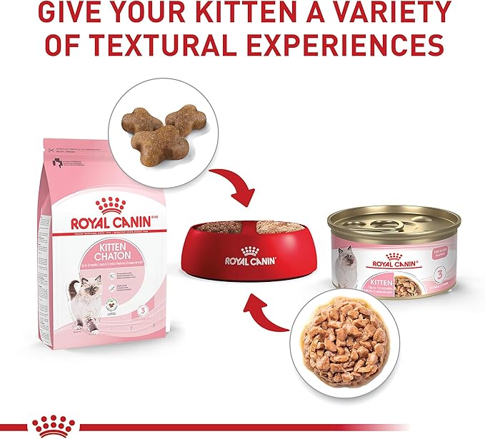 Royal Canin Feline Health Nutrition Kitten Thin Slices in Gravy Canned Cat Food, 3 oz., Count of 24