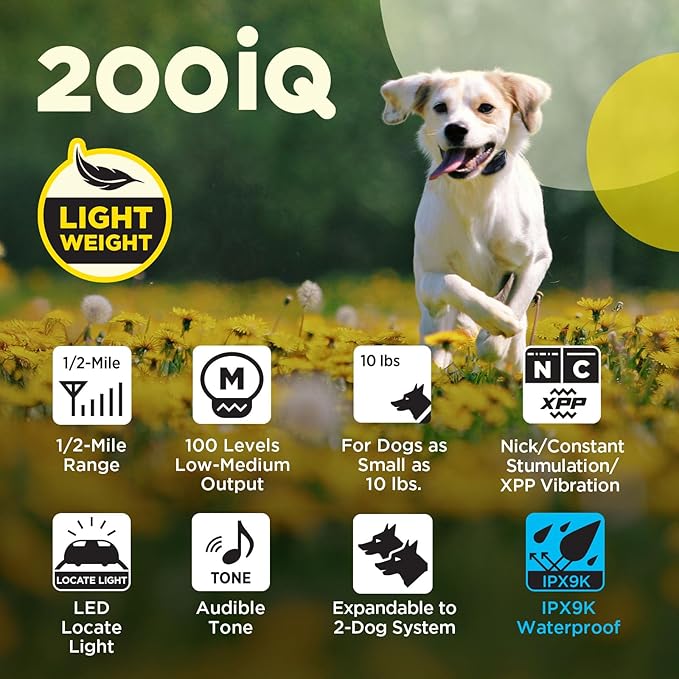 Dogtra 200iQ Remote Training E Collar – 100 Levels, Tone, Vibration, 1/2 Mile Range – Compact, Waterproof, One-Handed Control for Dogs 10 lbs+ – Lightweight Design for Daily Training – Flower Power