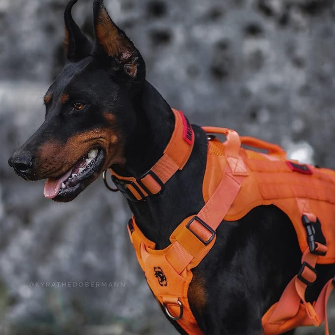 OneTigris - Tactical Dog Harness No Pull for Medium Dogs, Breathable Mesh Design, Service Dog Vest with Handle and Molle Bags, Adjustable Suit for Walking Hiking