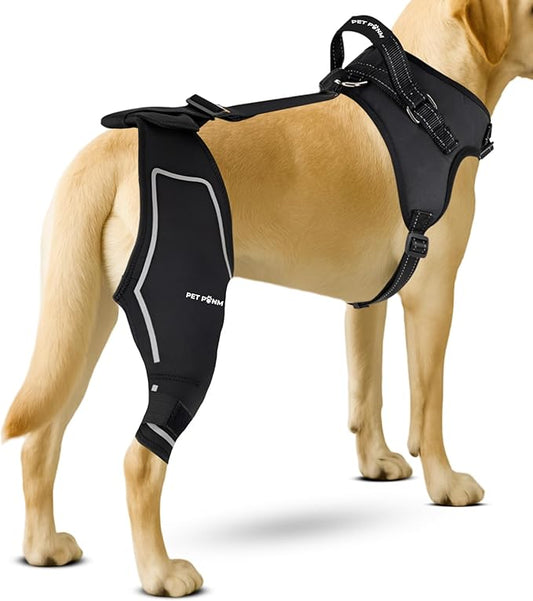 Petpanm- Adjustable Dog Knee Brace- Right Hind Leg with Integreted Harness- Premium Support for Torn ACL, Sprains & Strains Recovery, Enhances Mobility, Comfortable Neoprene - (XLarge).