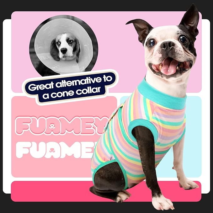 FUAMEY Recovery Suit for Dogs After Surgery,Soft Breathable Dog Bodysuit E-Collar & Cone Alternative Surgical Suit,Male Female Dog Neuter Spay Suits Anti Licking Wounds Onesie Mint Green Stripes M