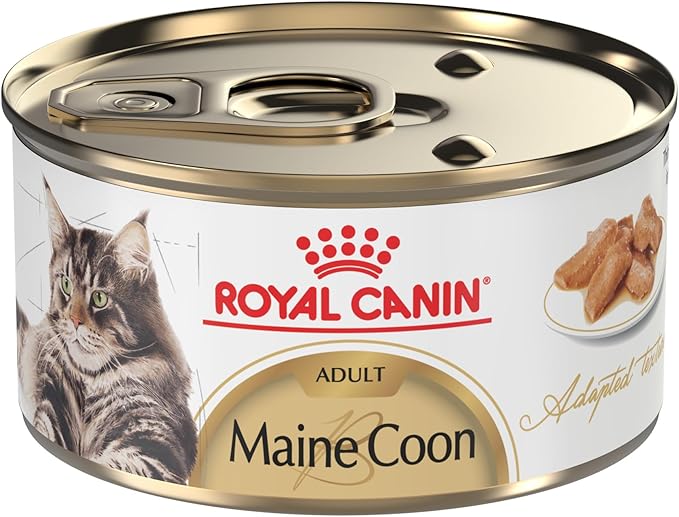 Royal Canin Feline Breed Nutrition Maine Coon Adult Thin Slices in Gravy Canned Cat Food, 3 oz can (24-count)