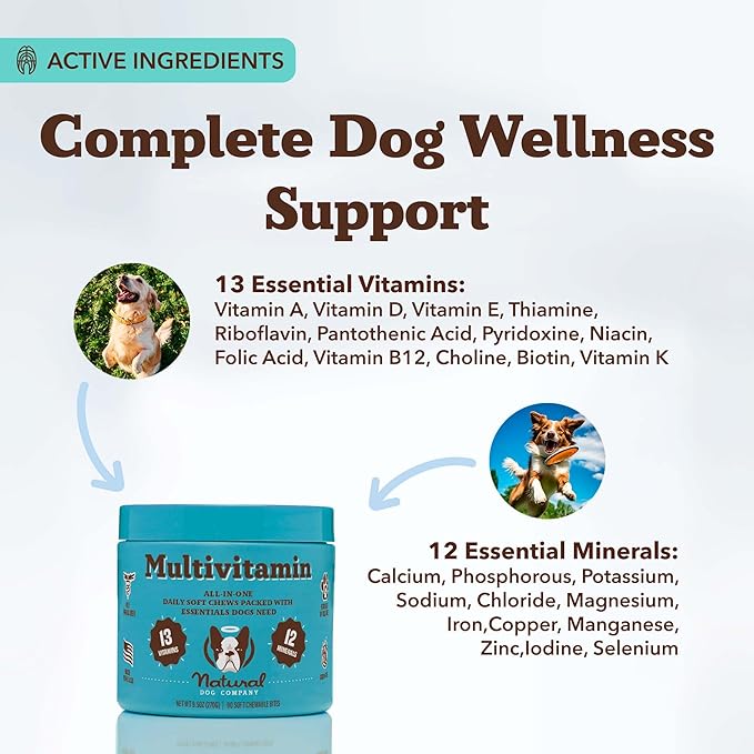 Natural Dog Company 25 in 1 Multivitamin Chews (180 Pcs) Dog Vitamins & Supplements, Peanut Butter & Bacon Flavor, Dogs, Supports Immune System, Antioxidant, Vitaminas para Perros, Multi Dog Families