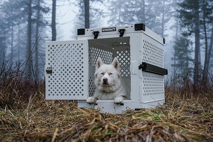 Impact Collapsible Dog Crate - Foldable Hard Crate for Medium Dogs - Heavy Duty Travel Kennel with Powder-Coated Aluminum - Quick Setup for Indoor & Outdoor (White, 30" (30.5" L x 20.5" W x 26" H))
