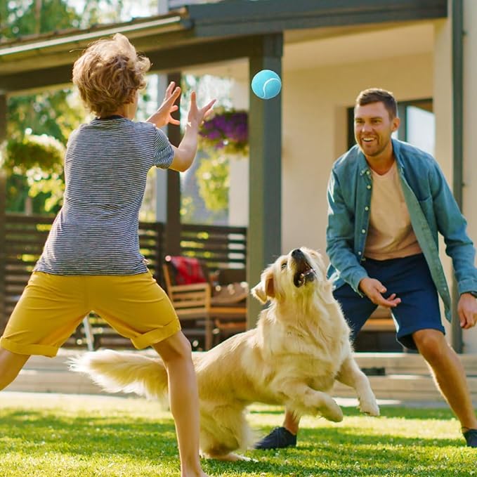 Prime Pets Tennis Balls for Dogs, 2.5 Inch Squeaky Dog Toys, Interactive Pet Dog Toy Balls for Medium, Large Dogs, Squeaky Tennis Balls for Dogs