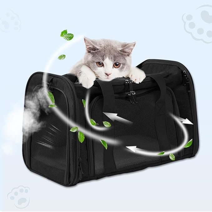 Roaringkitty Travel in Style: Portable Pet Carrier for Small Pets up to 15 Lbs- Airline Approved, Collapsible & Comfortable cat/Puppy Soft Sided Bag (Black)
