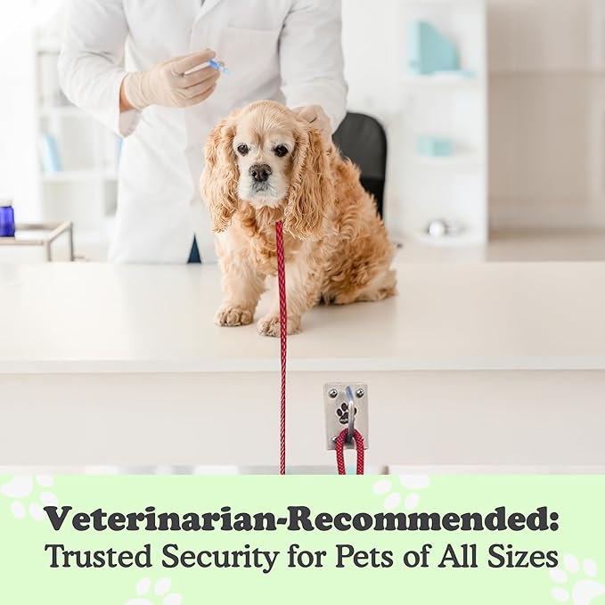 Canine Hitch- Secure Dog Leash Parking Mounted Indoor – Outdoor Wall Hook - Tie Out Stainless Steel Practical Lead Management for Home & Business, Ultimate Strength 6 Packs