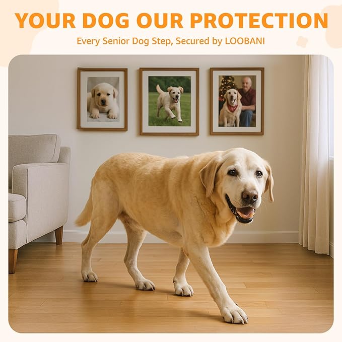 Paw Pads for Dogs Traction for Senior Dogs - Non Slip Sticky Dog Paw Protector Pads, Anti-Slip Adhesive Dog Paw Grip Pads Covers for Slippery Hardwood Floors to Prevent Slipping While Running Walking