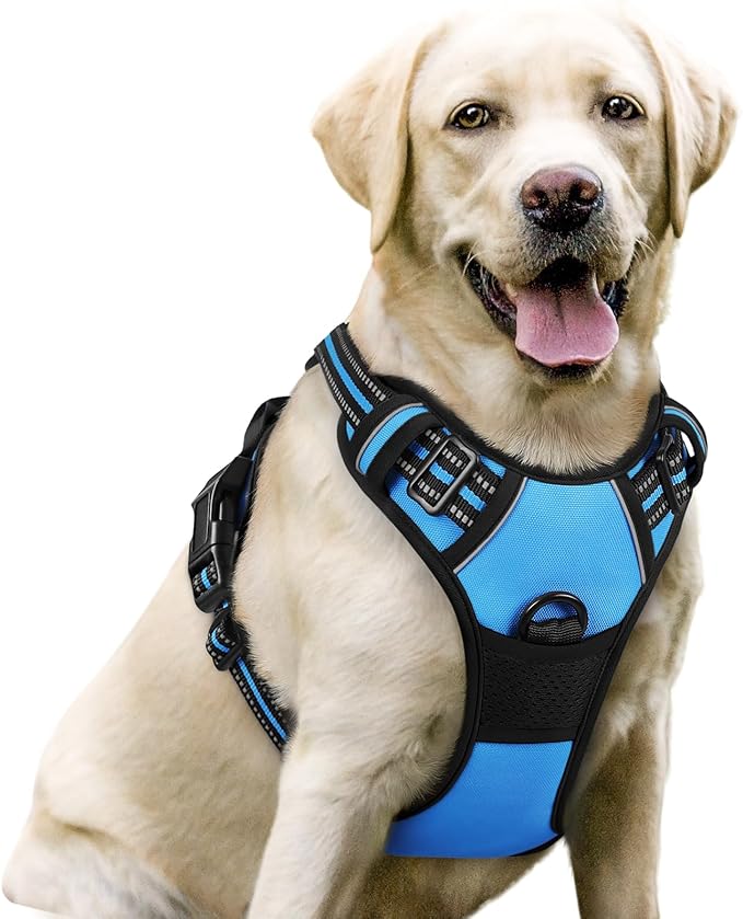 rabbitgoo Dog Harness No Pull with 2 Leash Clips, Adjustable Soft Padded, Reflective Oxford No Choke Pet Vest with Easy Control Handle for Large Dogs, Blue, L