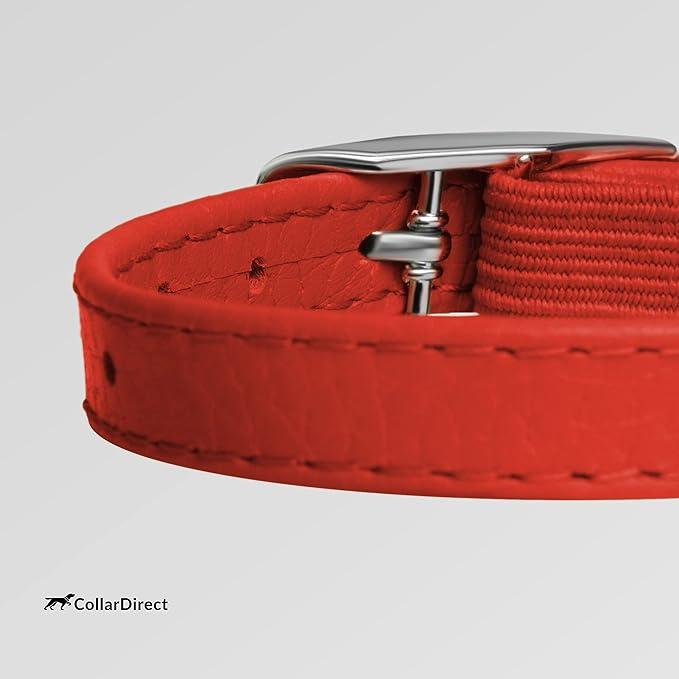 CollarDirect Leather Cat Collar, Kitten Collar with Removable Bell Black Blue Red Orange Lime Green (8-11 Inch, Red)