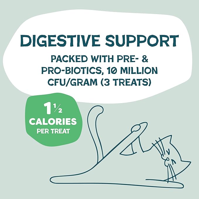 Shameless Pets Crunchy Cat Treats - Catnip Treats for Cats with Digestive Support, Natural Ingredients Kitten Treats with Real Chicken, Healthy Flavored Feline Snacks - Catnip N Chill, 3-Pk