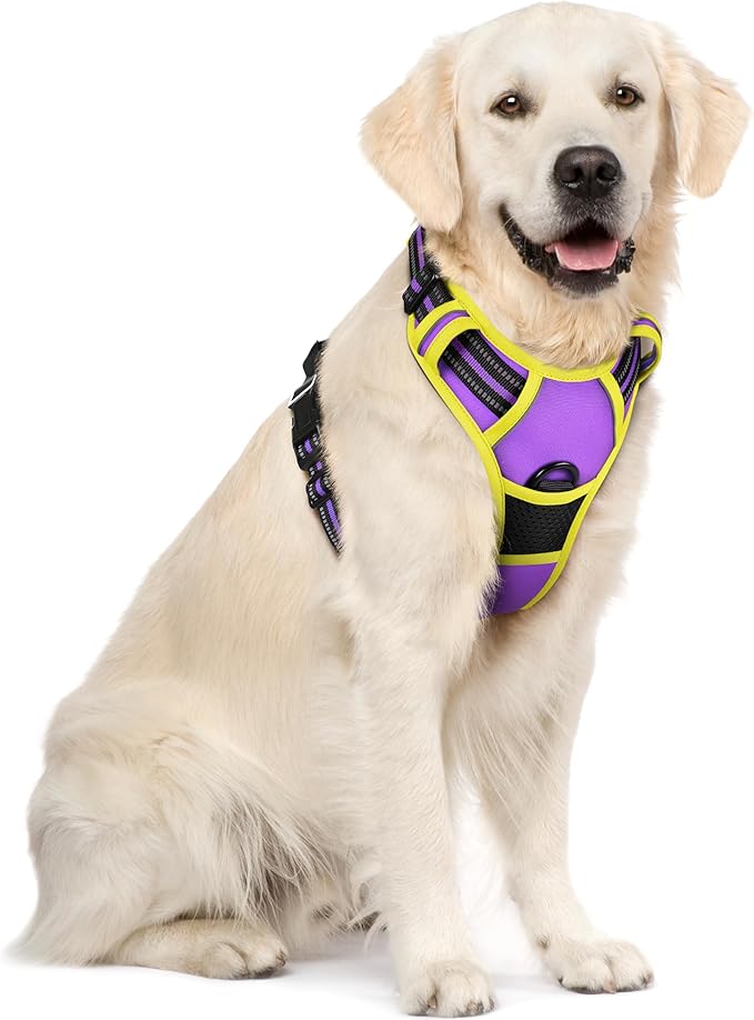 rabbitgoo Dog Harness No Pull with 2 Leash Clips, Adjustable Soft Padded, Reflective Oxford No Choke Pet Vest with Easy Control Handle for Large Dogs, Purple & Yellow, XL