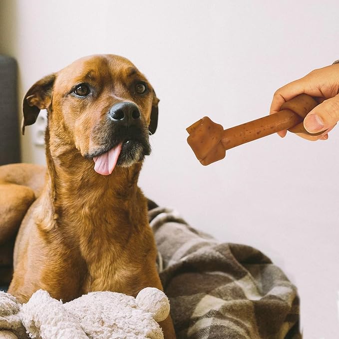 Jungle Calling Rawhide Free Dog Treats, Peanut Butter Bones, 6.5'' Pet Chews for Medium and Large Dogs,Digestible Chewing Snacks,4 Count (Pack of 1)