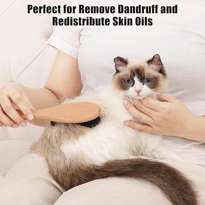 Boar Bristle Cat Brush with Wooden Handle, Soft and Gentle, Reduce Shedding, Make Coat Soft, Smooth and Shinny, Daily Grooming Tool for Short Haired Cats, Kitten