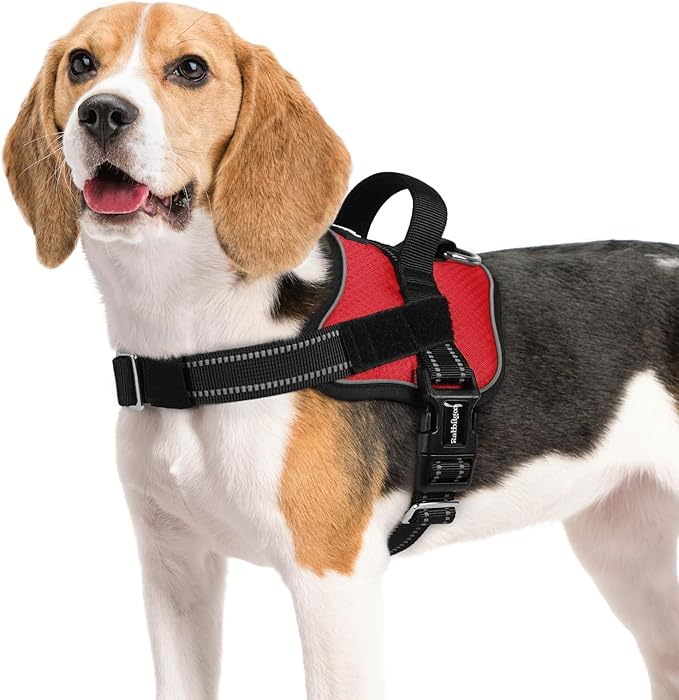 rabbitgoo Dog Harness Medium Sized, Easy On Pet Vest with One Buckle, No Pull Adjustable Service Harness with D-Ring & Handle, Reflective for Safety Walking, Training, Red, M