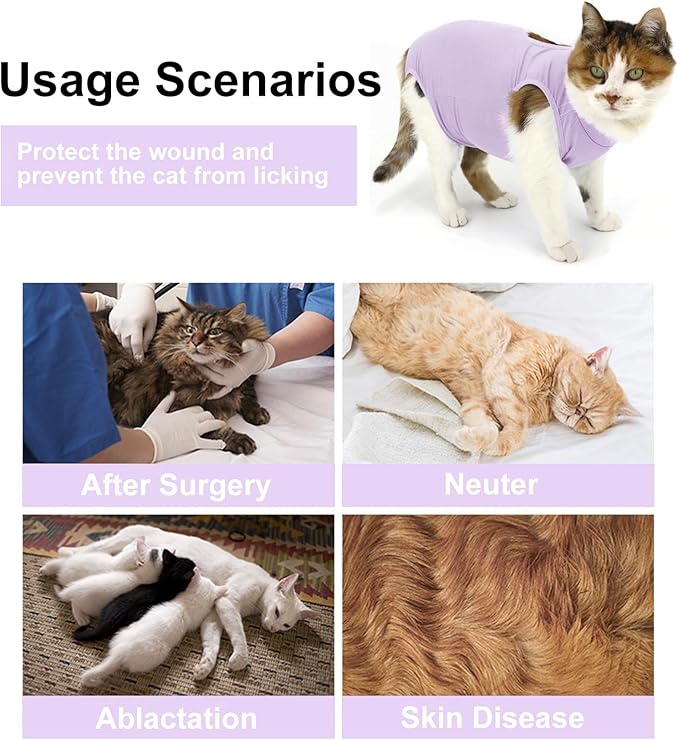 Cat Recovery Suit, Surgical Recovery Clothes for Abdominal Wound or Skin Disease, Cats Onesie After Surgery and Spay, E-Collar Alternative Pajama Suit (Purple, Large)