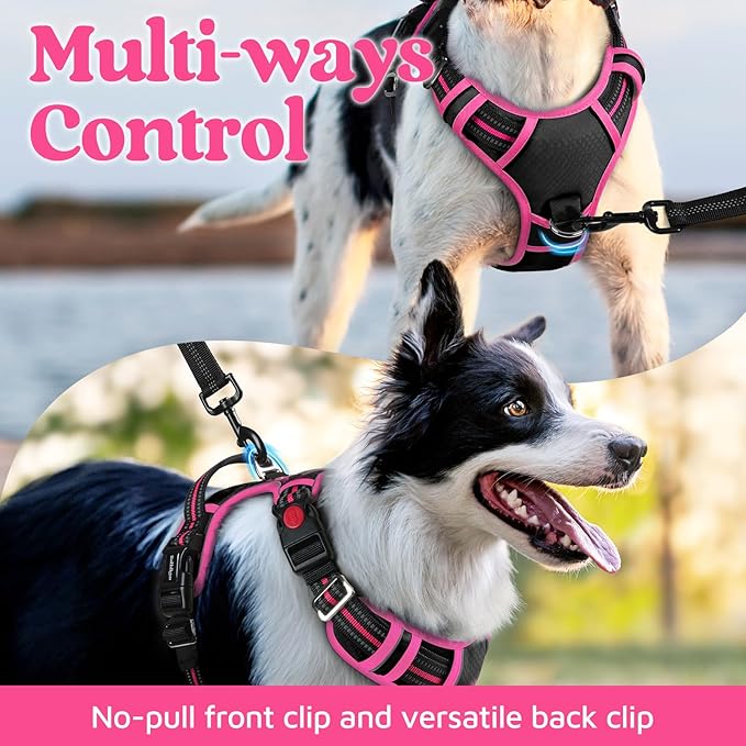 rabbitgoo Dog Harness Medium Sized, No Pull Dog Vest with 3 Buckles, Adjustable Soft Padded Pet Harness with Easy Control Handle and Reflective Strips, Black & Rose Pink, M