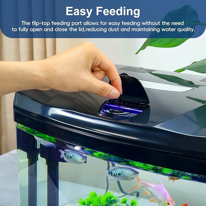 4 Gallon Glass Aquarium Starter Kit with Flip-Top Feeding Port for Betta Fish: Crystal Clear 360° Viewing, Eco-Cycle Filtration, Air Pump, and LED Lighting