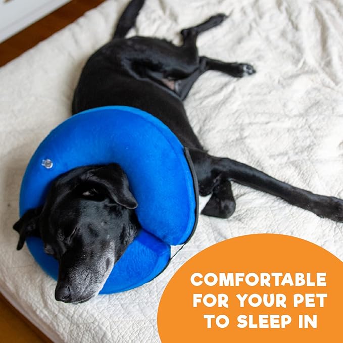 BENCMATE Inflatable Dog Cone Collar Alternative, Soft Dog Cone for Small Medium Large Dogs and Cats, Neck Recovery ECollar Donut Collar After Surgery (Large+, Donut-Blue)
