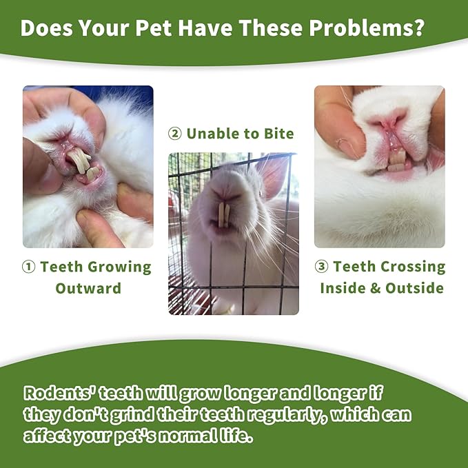 Fhiny Rabbit Chew Toys, 6 PCS 3.9" Natural Papaya Wood Chew Sticks Guinea Pig Treats for Dental Care Bunny Treats for Rabbits Small Pet Molar Snacks for Bunny Guinea Pig Chinchilla Hamster Gerbil