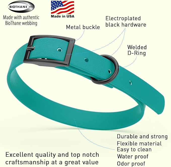 Dogline Biothane Waterproof Dog Collar Strong Coated Nylon Webbing with Black Hardware Odor- Proof for Easy Care Easy to Clean High Performance Fits Small Medium or Large Dogs, Blue Aqua