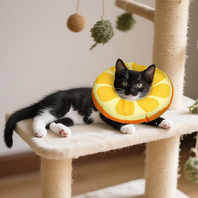 Kitten Cones After Surgerys Small Waterproof Cones Collar Small Cats Donut Soft to Stop Licking Neck Elizabethan e Collar for Recovery