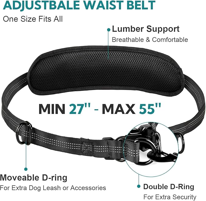 Hands Free Dog Leash with Pouch,Double Leash for Two Dogs