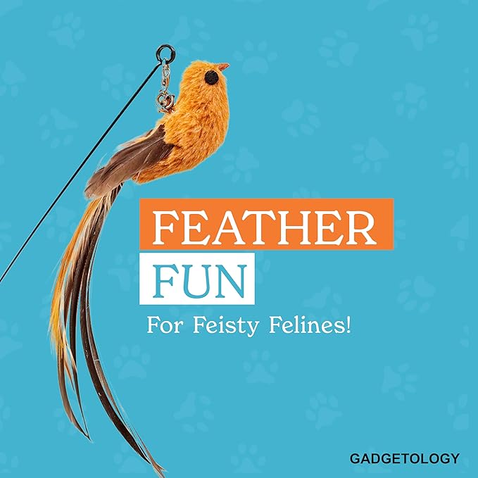 Interactive Bird Simulation Cat Toy Set for Bored Indoor Adult Cats Feather Toy Wand 5 Pcs Natural Bird Feathers Stable Round Base Wand Cat Toys for Indoor Cats Hunting Toys