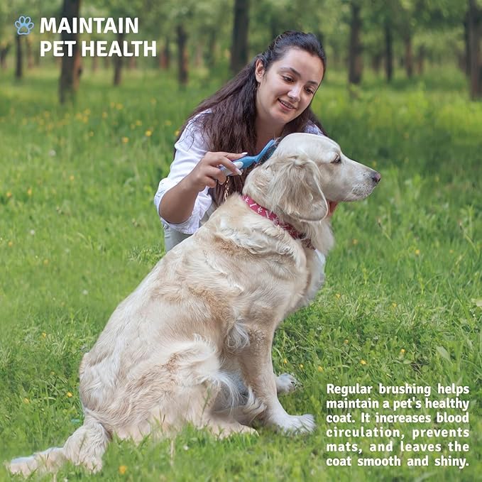 Round Bristle Pet Brush for Dogs and Cats - Soft Dog Brush for Grooming Short or Long Hair - Gentle Tool for Sensitive Skin Removes Dander, Dirt, and Detangles (Blue)