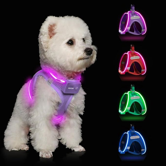 Light Up Dog Harness,Rechargeable LED Dog Harness for Small Medium Large Dogs,Reflective Lighted Safety Vest for Night Walking & Camping,Lightweight & Adjustable,Lavender Purple,XS
